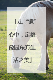 走“镜”心中，定格豫园东方生活之美