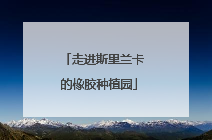 走进斯里兰卡的橡胶种植园