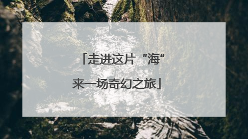 走进这片“海”来一场奇幻之旅