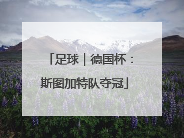 足球｜德国杯：斯图加特队夺冠