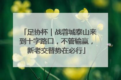 足协杯｜战蓉城泰山来到十字路口，不管输赢，新老交替势在必行