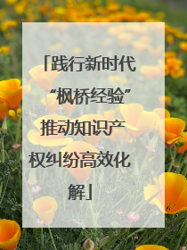 践行新时代“枫桥经验” 推动知识产权纠纷高效化解