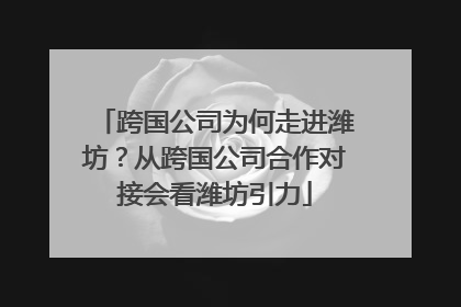 跨国公司为何走进潍坊？从跨国公司合作对接会看潍坊引力