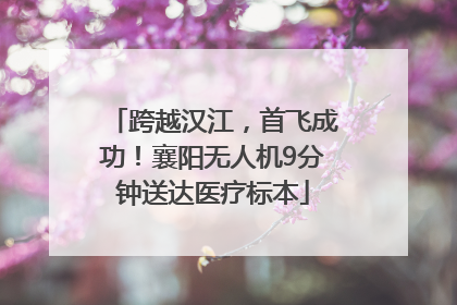跨越汉江，首飞成功！襄阳无人机9分钟送达医疗标本