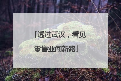 透过武汉，看见零售业闯新路
