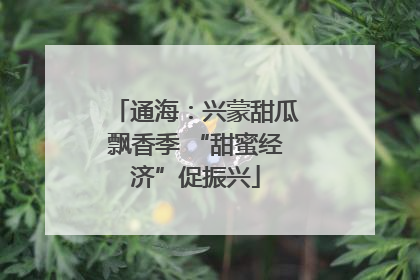 通海：兴蒙甜瓜飘香季 “甜蜜经济”促振兴
