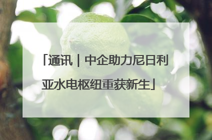 通讯｜中企助力尼日利亚水电枢纽重获新生