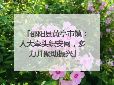 邵阳县黄亭市镇：人大牵头织安网，多力并聚助振兴