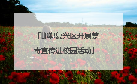 邯郸复兴区开展禁毒宣传进校园活动