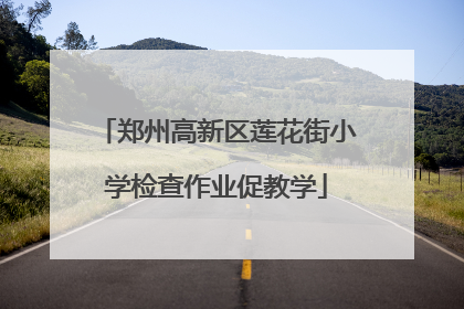 郑州高新区莲花街小学检查作业促教学