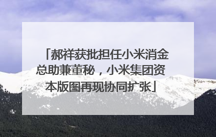 郝祥获批担任小米消金总助兼董秘，小米集团资本版图再现协同扩张