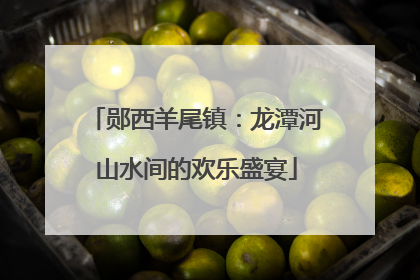 郧西羊尾镇：龙潭河山水间的欢乐盛宴