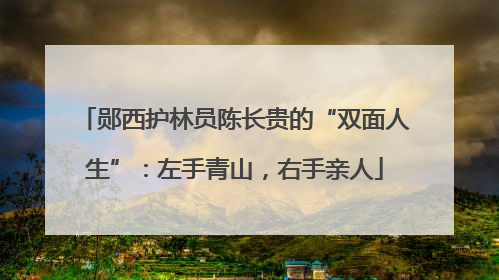 郧西护林员陈长贵的“双面人生”：左手青山，右手亲人