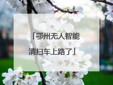 鄂州无人智能清扫车上路了