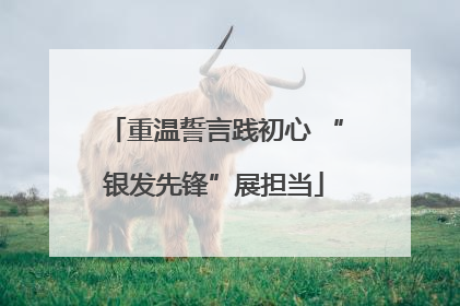 重温誓言践初心 “银发先锋”展担当