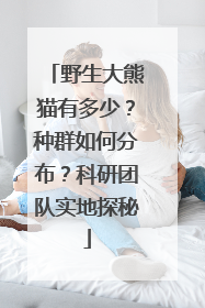 野生大熊猫有多少？种群如何分布？科研团队实地探秘