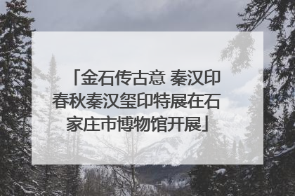 金石传古意 秦汉印春秋秦汉玺印特展在石家庄市博物馆开展