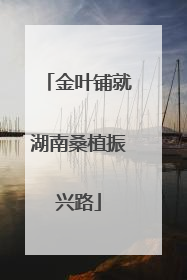 金叶铺就湖南桑植振兴路
