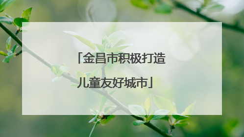 金昌市积极打造儿童友好城市