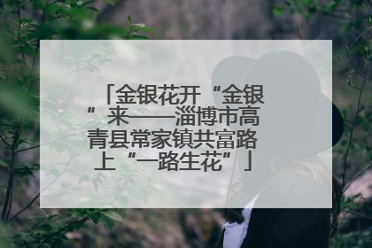 金银花开“金银”来——淄博市高青县常家镇共富路上“一路生花”