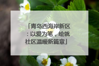 青岛西海岸新区：以爱为笔，绘就社区温暖新篇章