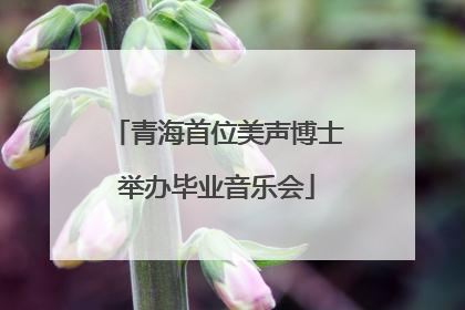 青海首位美声博士举办毕业音乐会