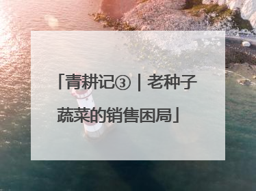 青耕记③｜老种子蔬菜的销售困局