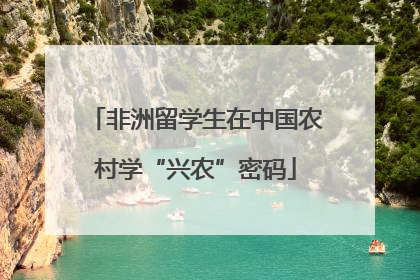 非洲留学生在中国农村学“兴农”密码
