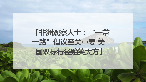 非洲观察人士：“一带一路”倡议至关重要 美国双标行径贻笑大方