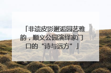 非遗皮影邂逅园艺雅韵，顺义公园演绎家门口的“诗与远方”