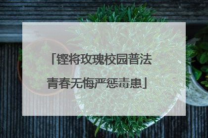 铿将玫瑰校园普法 青春无悔严惩毒患