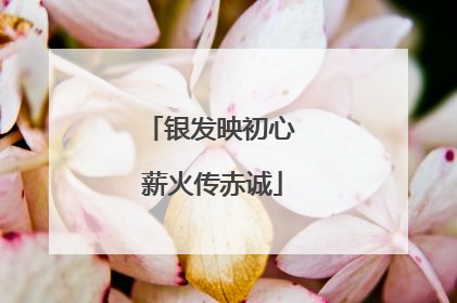 银发映初心 薪火传赤诚