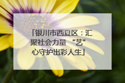 银川市西夏区：汇聚社会力量 “艺”心守护出彩人生