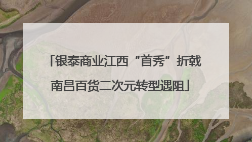 银泰商业江西“首秀”折戟 南昌百货二次元转型遇阻