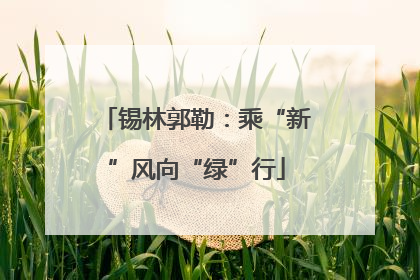 锡林郭勒：乘“新”风向“绿”行