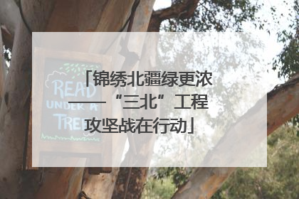 锦绣北疆绿更浓——“三北”工程攻坚战在行动
