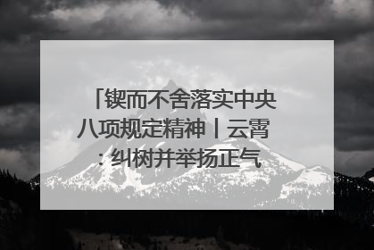 锲而不舍落实中央八项规定精神丨云霄：纠树并举扬正气 作风建设谱新章