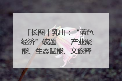 长图｜乳山：“蓝色经济”破题——产业聚能、生态赋能、文旅释能的协同路径