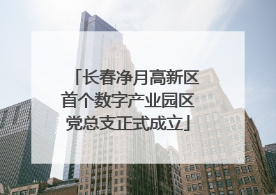 长春净月高新区首个数字产业园区党总支正式成立