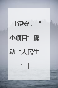 镇安：“小项目”撬动“大民生”