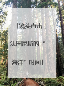 镜头直击｜法国尼斯的“海洋”时间