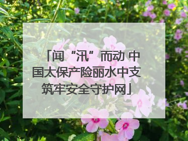 闻“汛”而动 中国太保产险丽水中支筑牢安全守护网
