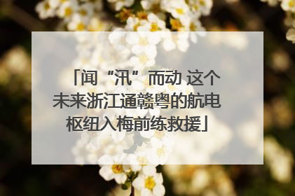 闻“汛”而动 这个未来浙江通赣粤的航电枢纽入梅前练救援