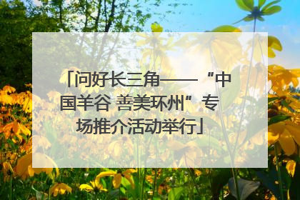 问好长三角——“中国羊谷 善美环州”专场推介活动举行