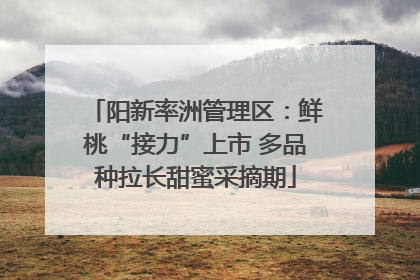阳新率洲管理区：鲜桃“接力”上市 多品种拉长甜蜜采摘期