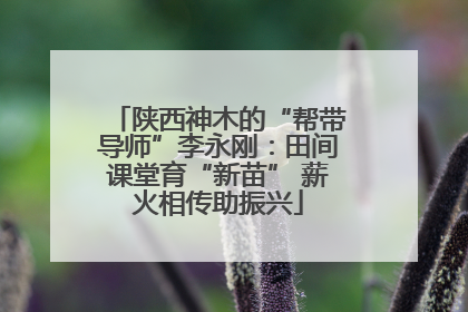 陕西神木的“帮带导师”李永刚：田间课堂育“新苗” 薪火相传助振兴