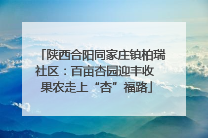 陕西合阳同家庄镇柏瑞社区：百亩杏园迎丰收 果农走上“杏”福路