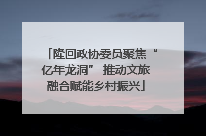 隆回政协委员聚焦“亿年龙洞” 推动文旅融合赋能乡村振兴