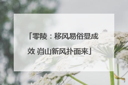 零陵：移风易俗显成效 岿山新风扑面来