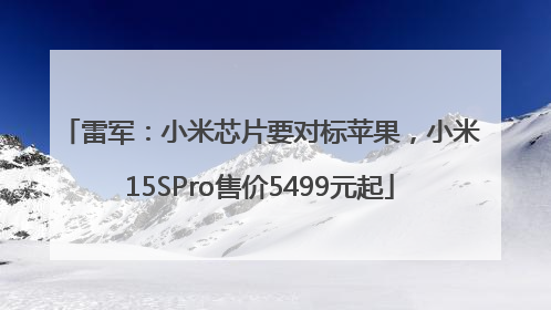 雷军：小米芯片要对标苹果，小米15SPro售价5499元起